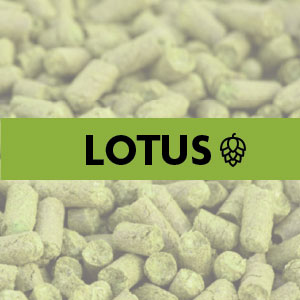 2025 LOTUS $9.25/lb